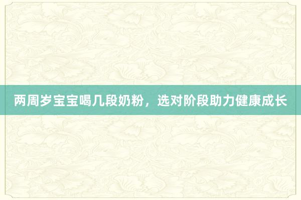 两周岁宝宝喝几段奶粉，选对阶段助力健康成长