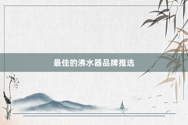 最佳的沸水器品牌推选
